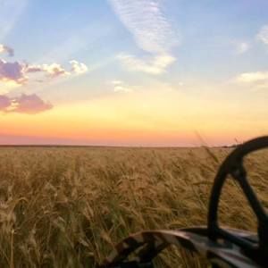 Meet your Posher, Barrett